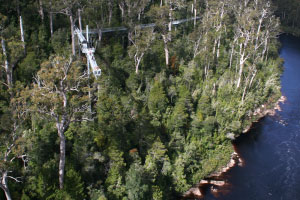 Tahune Airwalk